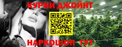 крисы Бузулук