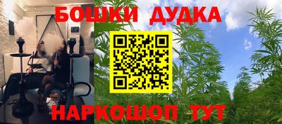 твердый Будённовск