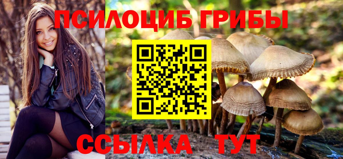 Лесосибирск  Псилоцибиновые грибы Cubensis  Вход с VPN 